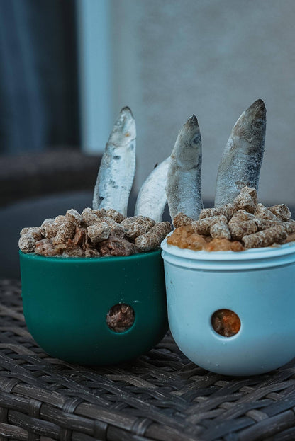 Food Dispenser & Slow Feeder Ice & Spruce Green