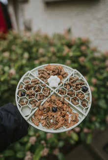 Honeycomb Lick Mat Sage Green