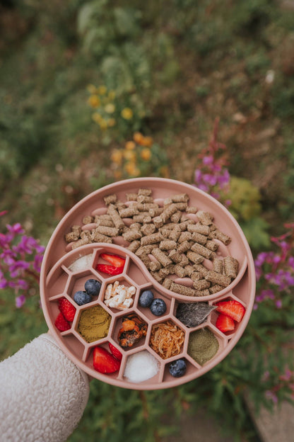 Bodhi & The Birchtree Honeycomb Slow Feeder Bowl In Dusky Pi