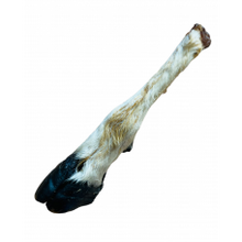 Hairy Goat Trotter