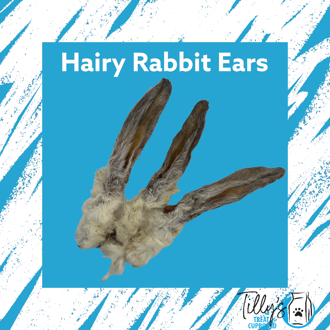Hairy Rabbit Ear