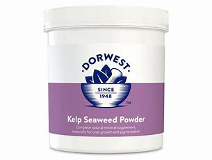 Dorwest Kelp Seaweed Powder