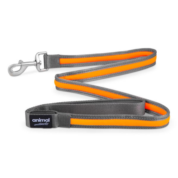 Animal Instincts Flashing Safety USB Nylon Lead Grey/Orange 1.2M