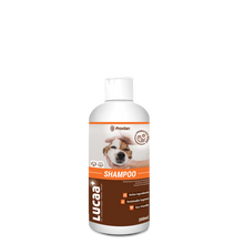 Ingenious Probiotics LUCAA+ Probiotic Pet Shampoo 300ml