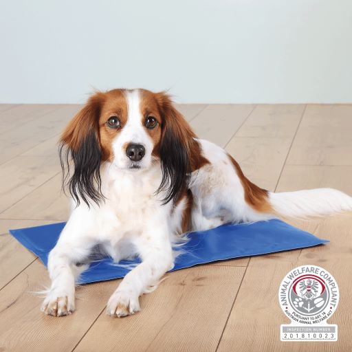 Tillys cooling mat