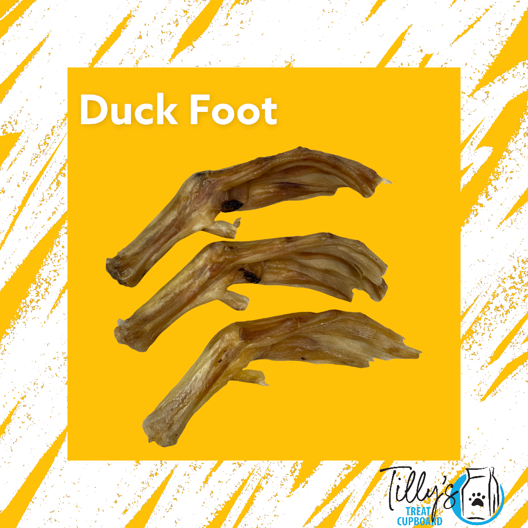 Duck Feet