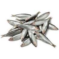 Whole Sprats Individually Frozen 1kg