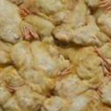 Day Old Chicks 1kg
