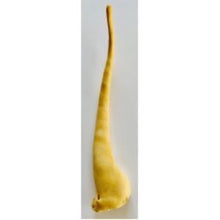 Lamb Tail