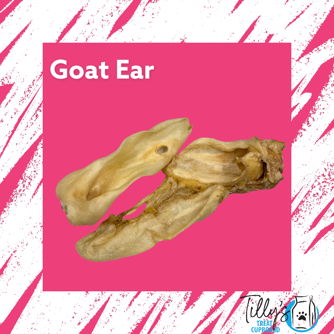 Goat Ear
