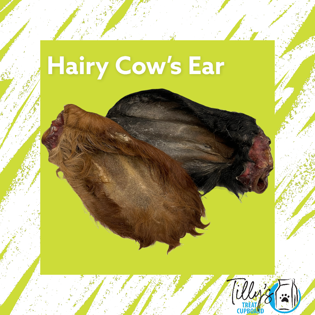 Hairy Cow Ear