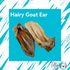 Hairy Goat Ear