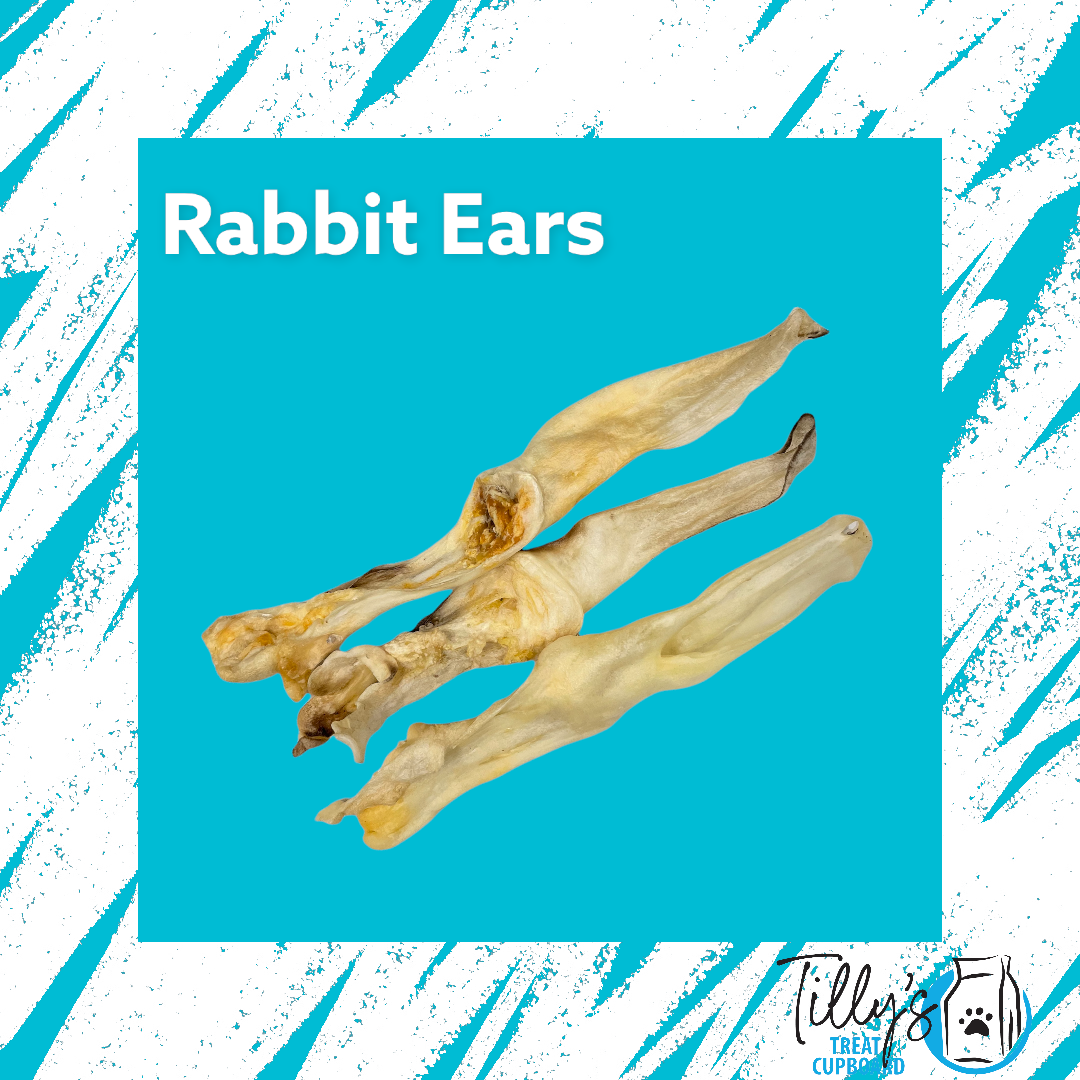 Till Rabbit Bald Rabbit Ear – Tilly's Treat Cupboard
