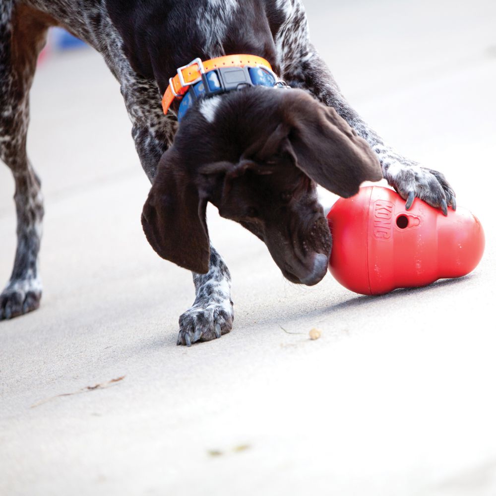 KONG Treat Wobbler