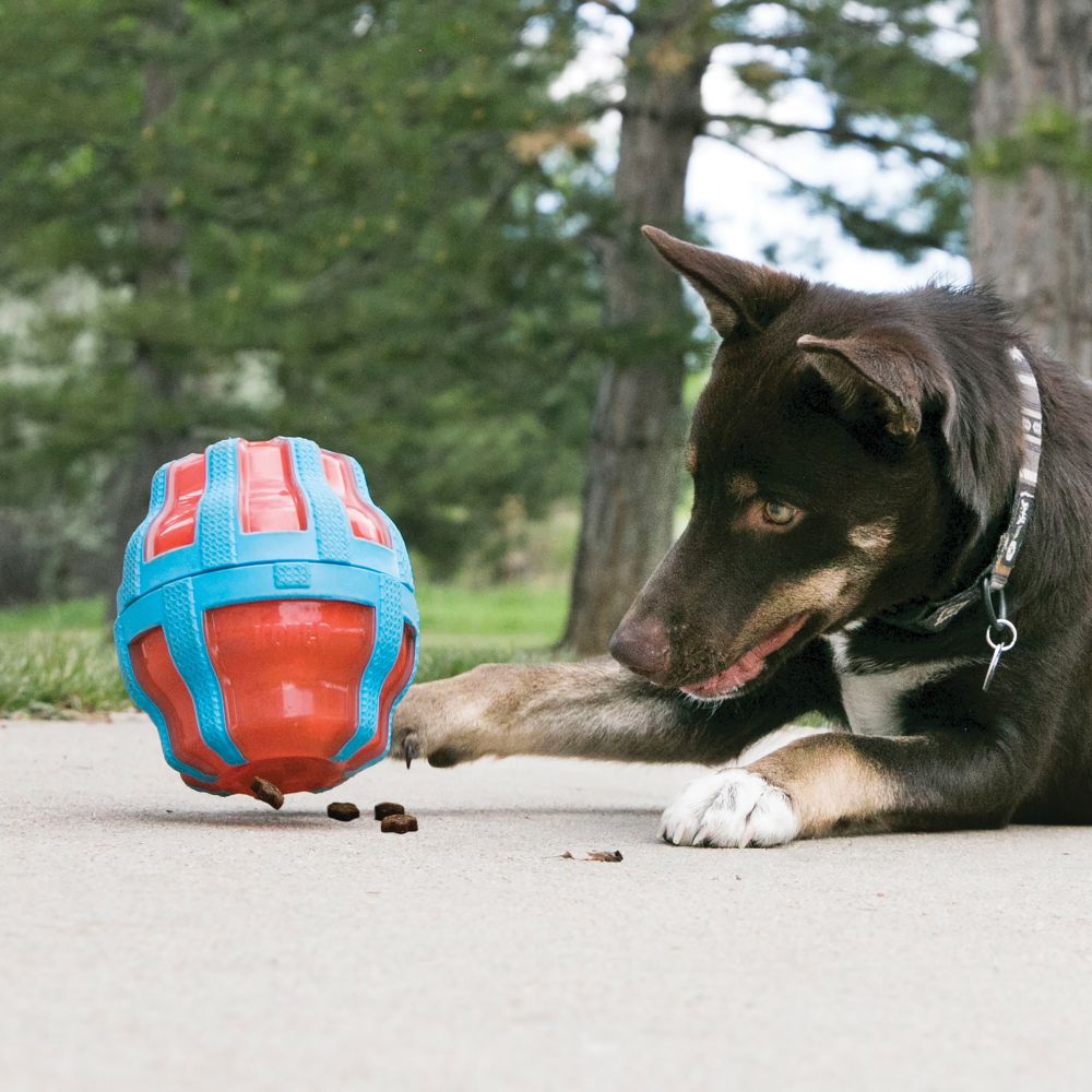 KONG Spinner Treat Dispenser