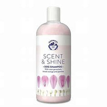 Dorwest Scent and Shine Shampoo 500ml