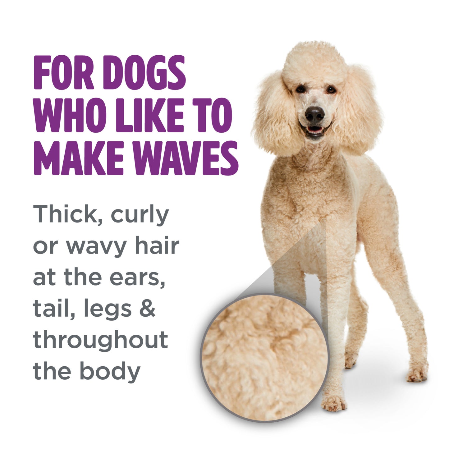 TropiClean PerfectFur Curly & Wavy Dog Shampoo 473ml - Tilly's Treat Cupboard